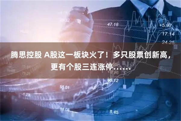 腾思控股 A股这一板块火了！多只股票创新高，更有个股三连涨停……