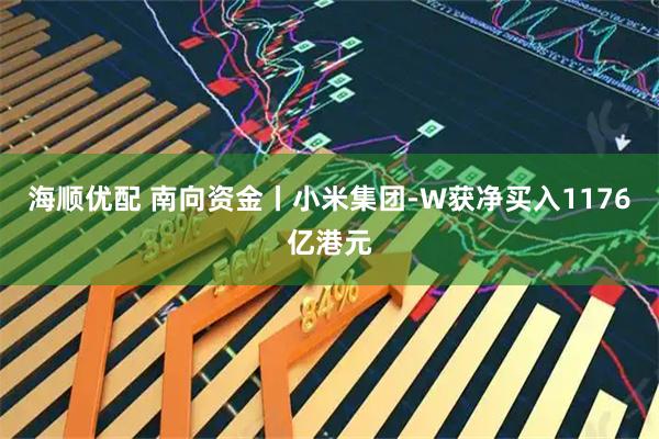 海顺优配 南向资金丨小米集团-W获净买入1176亿港元