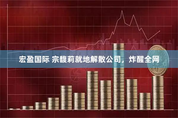 宏盈国际 宗馥莉就地解散公司，炸醒全网